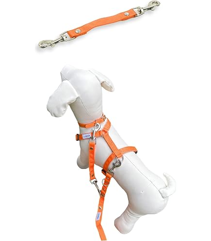 Amazon | 犬 猫の首輪 Luxe birdie Luxeグランマルチカラー 25 アクア